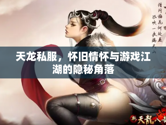 天龙私服，怀旧情怀与游戏江湖的隐秘角落