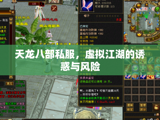 天龙八部私服，虚拟江湖的诱惑与风险