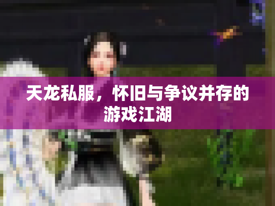 天龙私服，怀旧与争议并存的游戏江湖