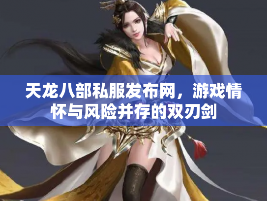 天龙八部私服发布网，游戏情怀与风险并存的双刃剑