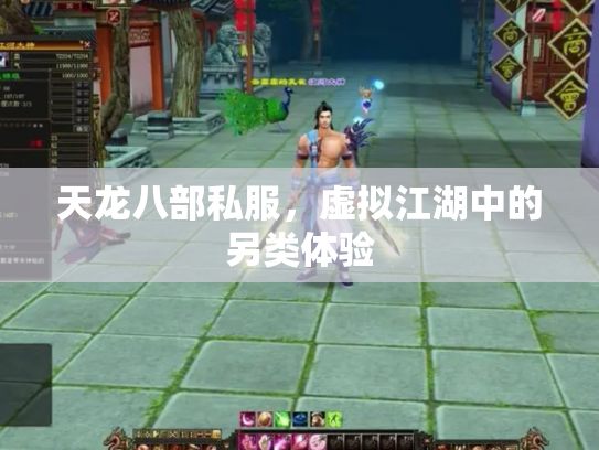 天龙八部私服，虚拟江湖中的另类体验