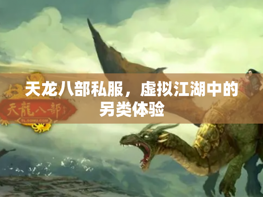 天龙八部私服，虚拟江湖中的另类体验