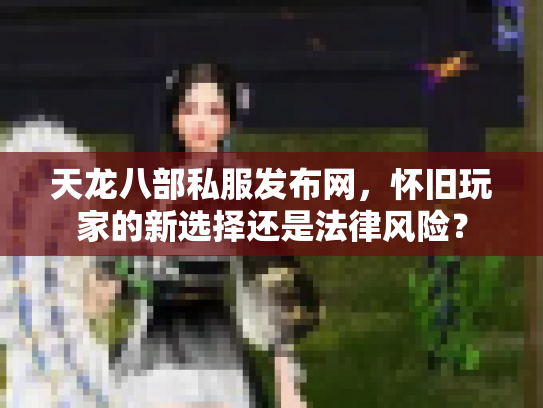 天龙八部私服发布网，怀旧玩家的新选择还是法律风险？