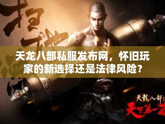 天龙八部私服发布网，怀旧玩家的新选择还是法律风险？