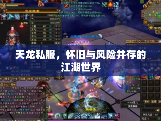 天龙私服，怀旧与风险并存的江湖世界