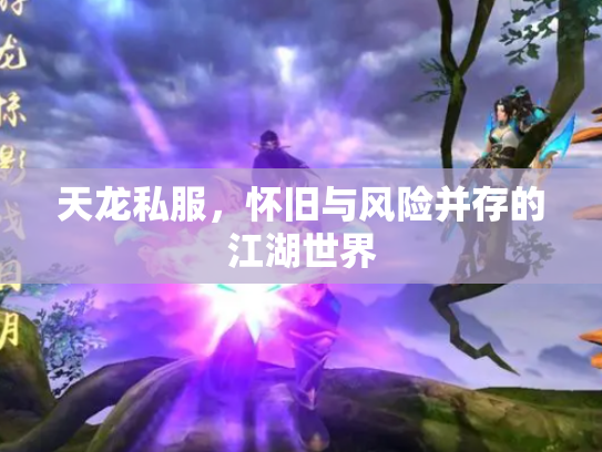 天龙私服，怀旧与风险并存的江湖世界