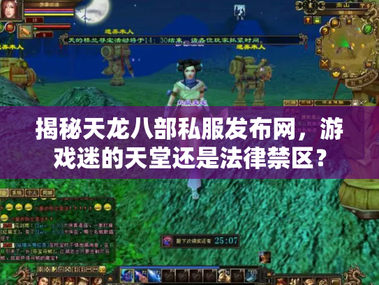 揭秘天龙八部私服发布网，游戏迷的天堂还是法律禁区？
