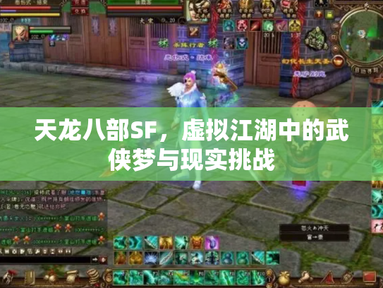 天龙八部SF，虚拟江湖中的武侠梦与现实挑战