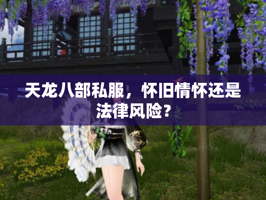 天龙八部私服，怀旧情怀还是法律风险？