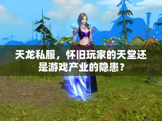 天龙私服，怀旧玩家的天堂还是游戏产业的隐患？