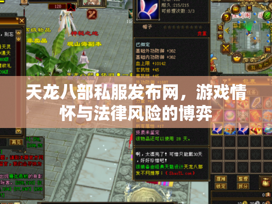 天龙八部私服发布网，游戏情怀与法律风险的博弈