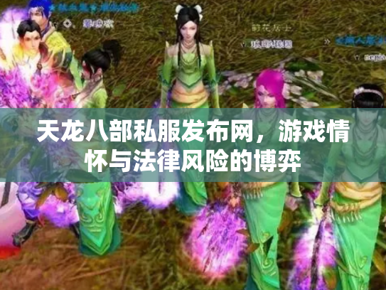 天龙八部私服发布网，游戏情怀与法律风险的博弈
