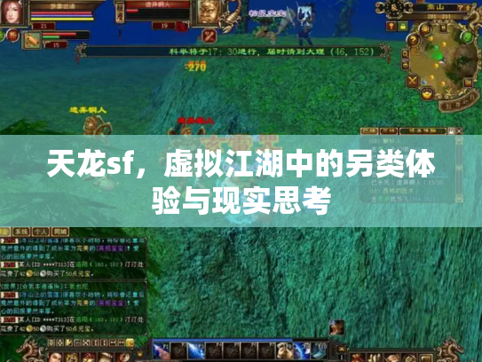 天龙sf，虚拟江湖中的另类体验与现实思考