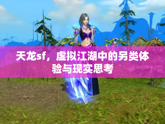 天龙sf，虚拟江湖中的另类体验与现实思考