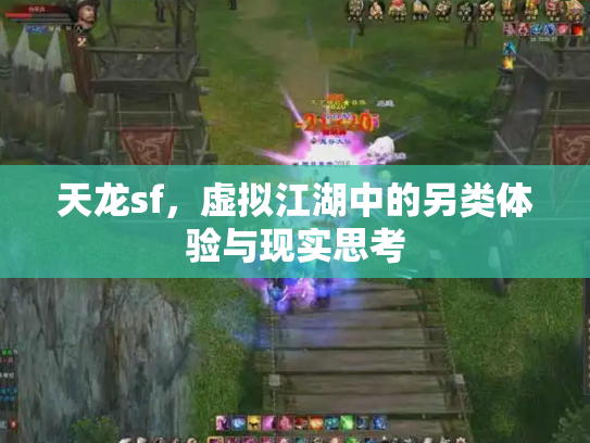 天龙sf，虚拟江湖中的另类体验与现实思考