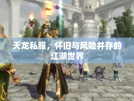 天龙私服，怀旧与风险并存的江湖世界