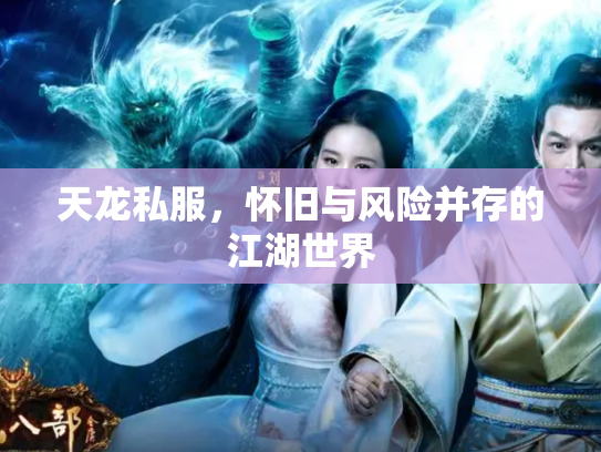 天龙私服，怀旧与风险并存的江湖世界