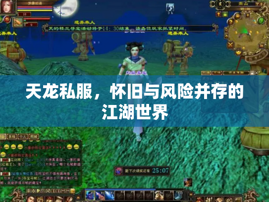 天龙私服，怀旧与风险并存的江湖世界