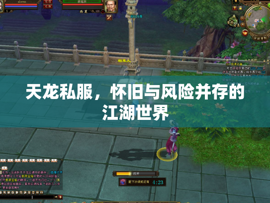 天龙私服，怀旧与风险并存的江湖世界