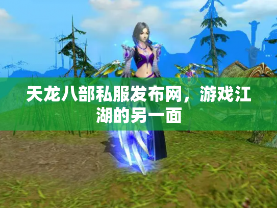 天龙八部私服发布网，游戏江湖的另一面