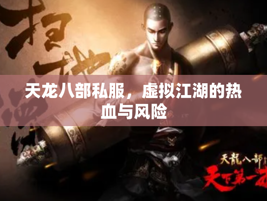天龙八部私服，虚拟江湖的热血与风险