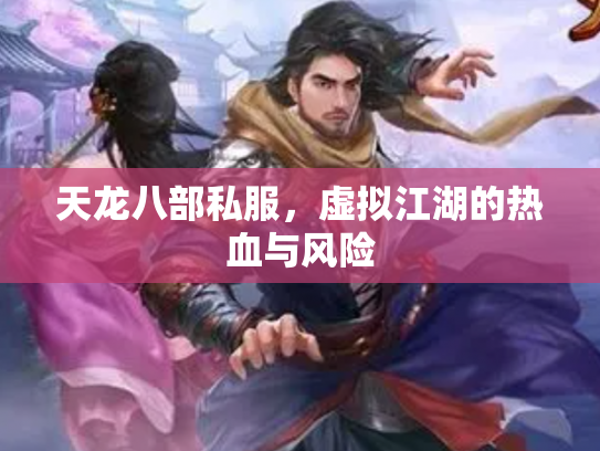 天龙八部私服，虚拟江湖的热血与风险