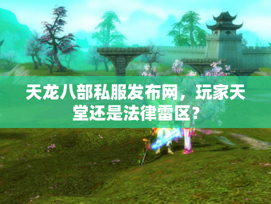 天龙八部私服发布网，玩家天堂还是法律雷区？