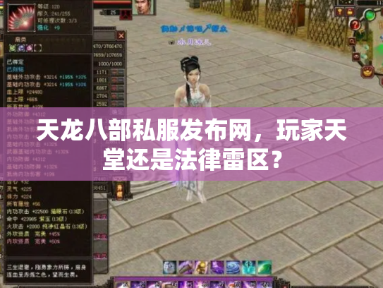 天龙八部私服发布网，玩家天堂还是法律雷区？