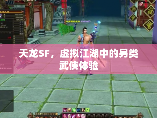 天龙SF，虚拟江湖中的另类武侠体验