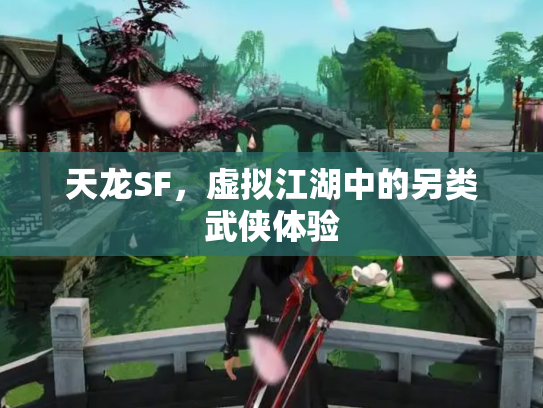 天龙SF，虚拟江湖中的另类武侠体验