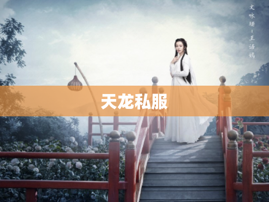 天龙私服