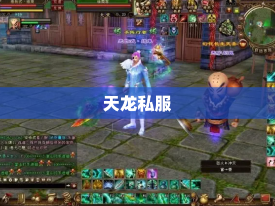 天龙私服