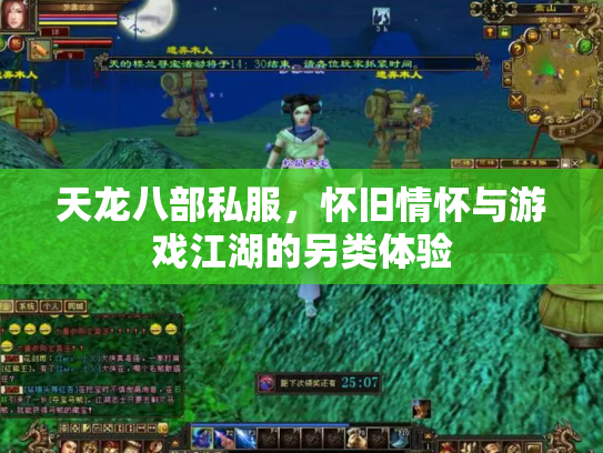 天龙八部私服，怀旧情怀与游戏江湖的另类体验
