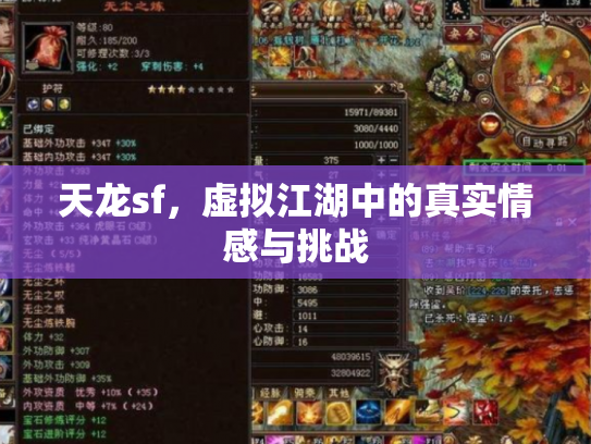 天龙sf，虚拟江湖中的真实情感与挑战
