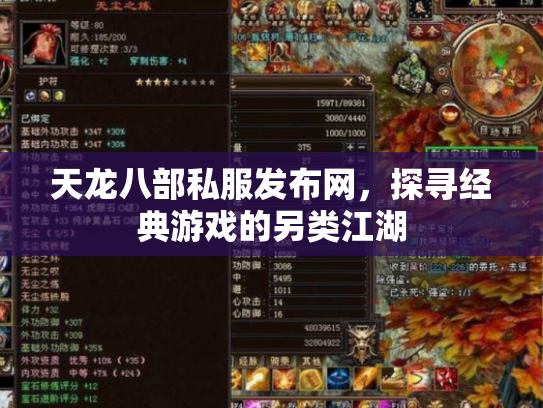 天龙八部私服发布网，探寻经典游戏的另类江湖