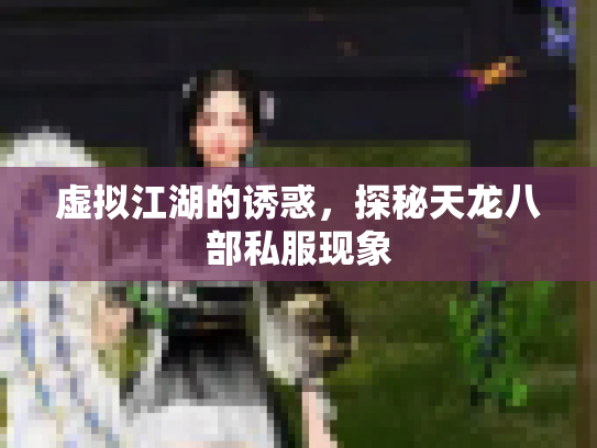 虚拟江湖的诱惑，探秘天龙八部私服现象