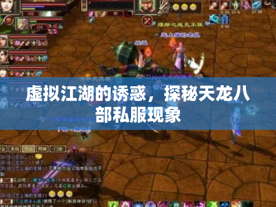虚拟江湖的诱惑，探秘天龙八部私服现象
