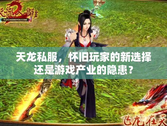天龙私服，怀旧玩家的新选择还是游戏产业的隐患？