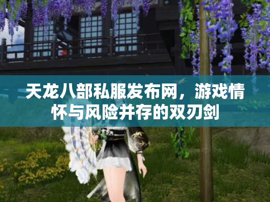 天龙八部私服发布网，游戏情怀与风险并存的双刃剑