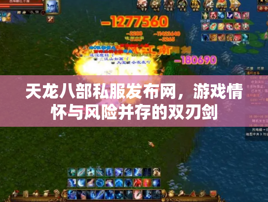 天龙八部私服发布网，游戏情怀与风险并存的双刃剑