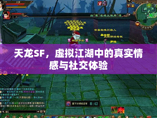 天龙SF，虚拟江湖中的真实情感与社交体验