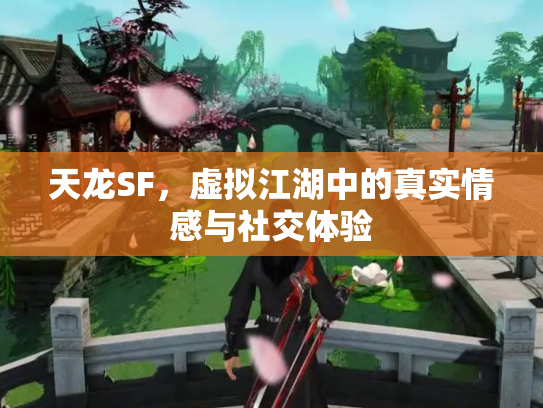 天龙SF，虚拟江湖中的真实情感与社交体验
