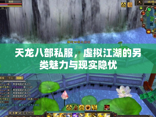 天龙八部私服，虚拟江湖的另类魅力与现实隐忧