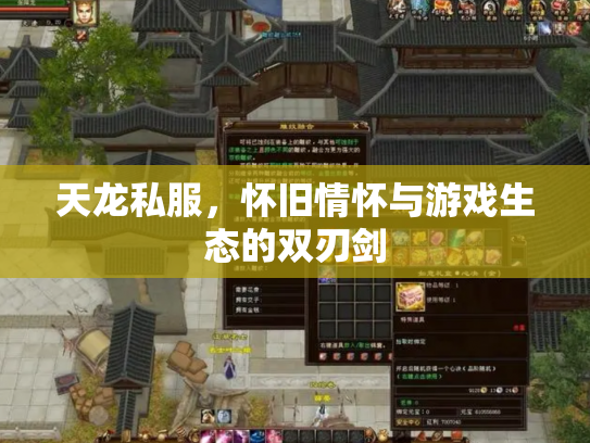 天龙私服，怀旧情怀与游戏生态的双刃剑
