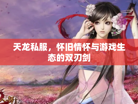 天龙私服，怀旧情怀与游戏生态的双刃剑