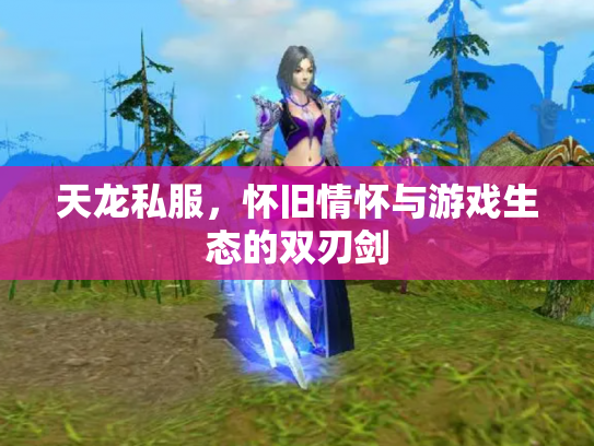 天龙私服，怀旧情怀与游戏生态的双刃剑