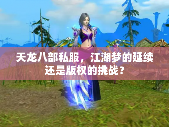 天龙八部私服，江湖梦的延续还是版权的挑战？
