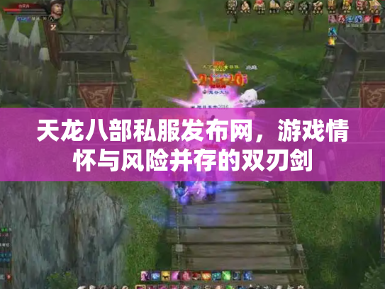 天龙八部私服发布网，游戏情怀与风险并存的双刃剑