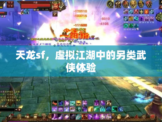 天龙sf，虚拟江湖中的另类武侠体验