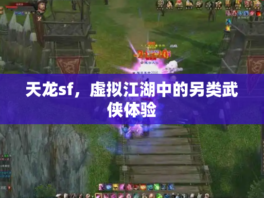 天龙sf，虚拟江湖中的另类武侠体验